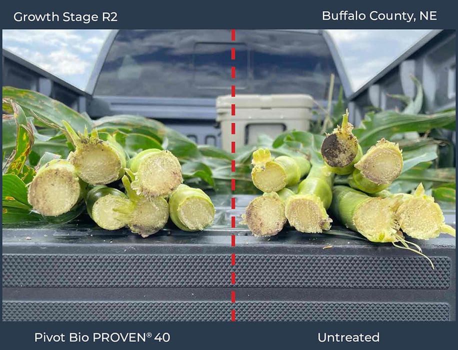 Buffalo County, NE 2 2022