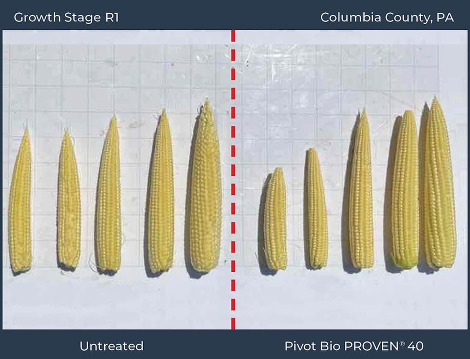 Columbia County, PA 2022