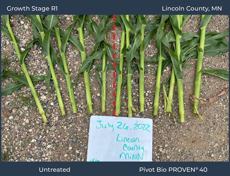 Lincoln County_MN 2022