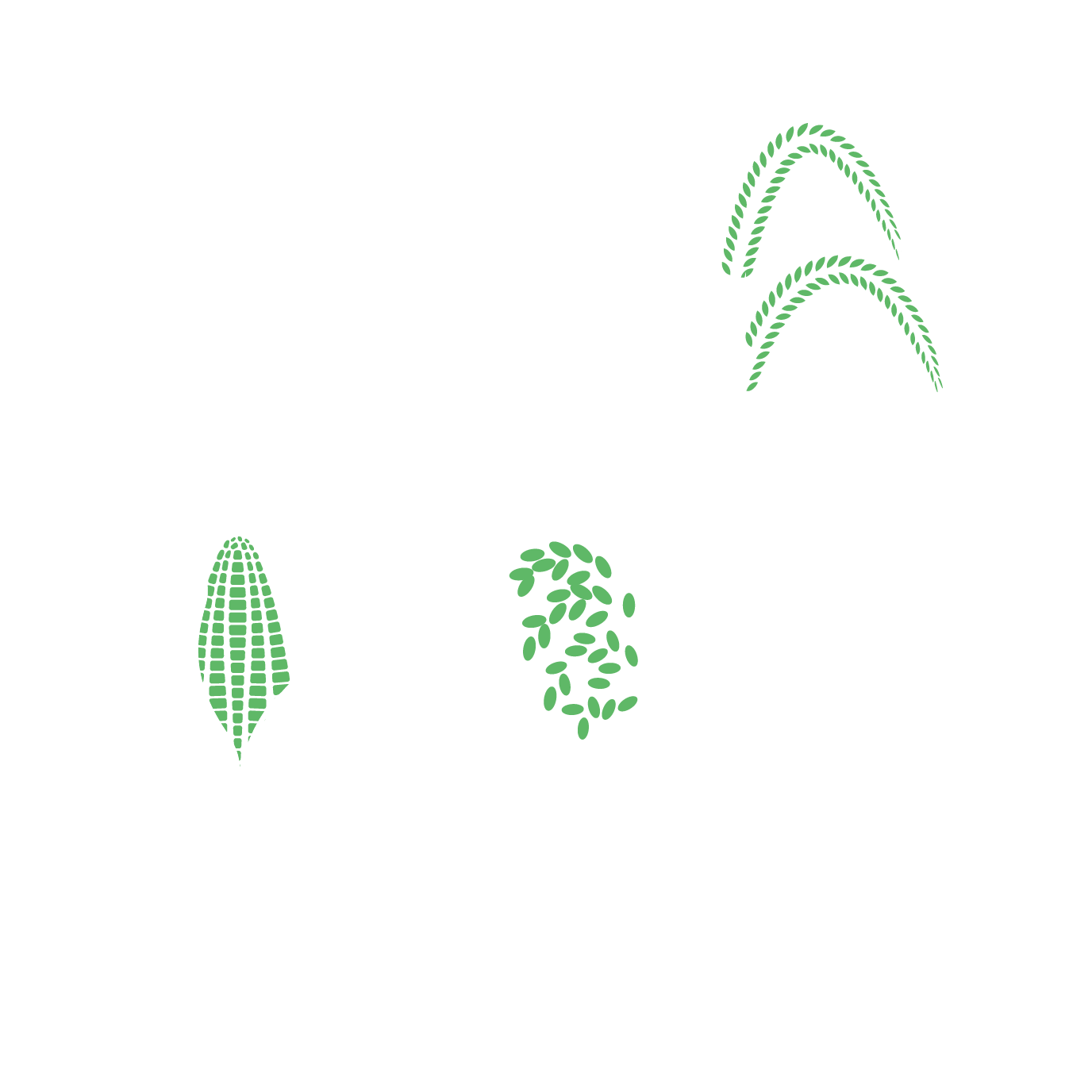 Distribute Scale Icon-2