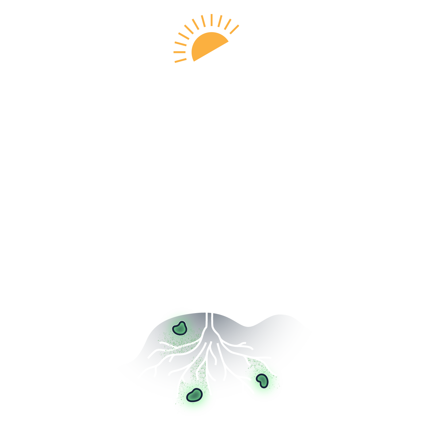 Produce Nitrogen Icon-1